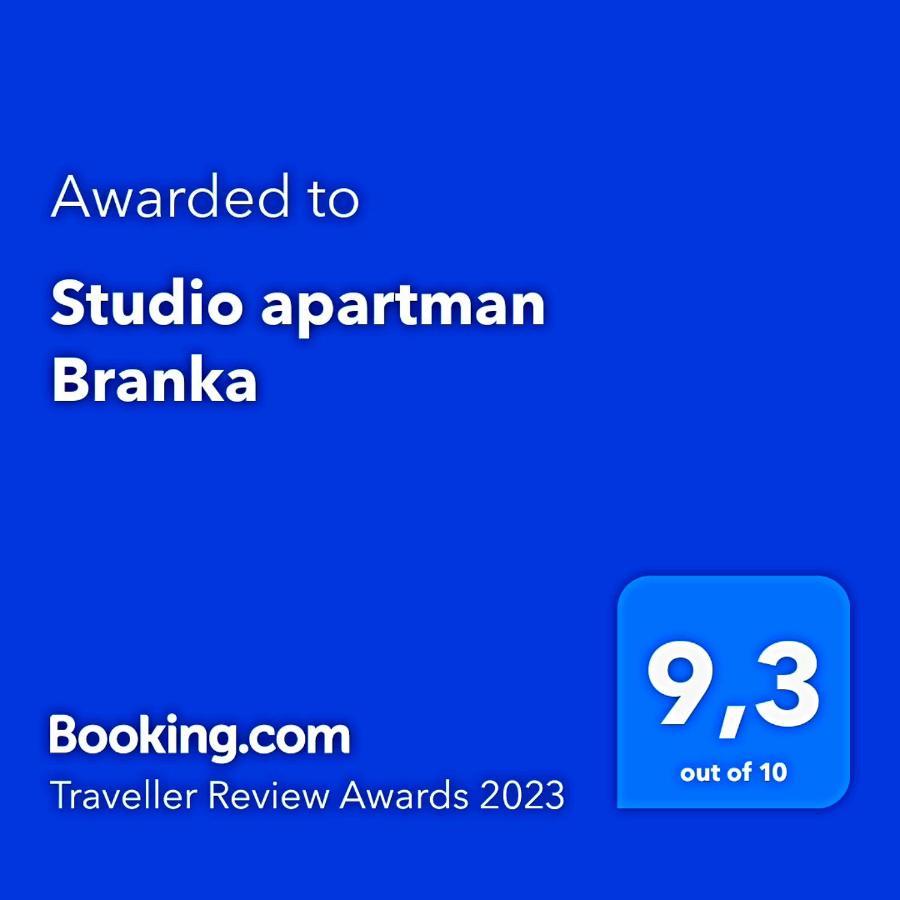 Studio Apartman Branka Labin  Exteriör bild